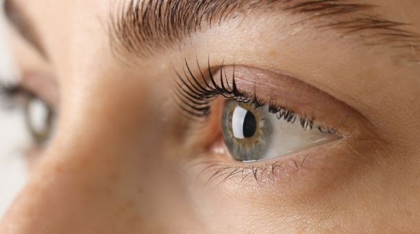 Nahaufnahme von Wimpern und Augenbrauen – natürliche Schönheit und Pflege.